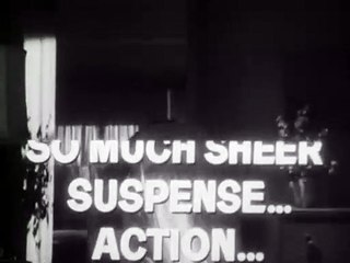 Poursuites dans la nuit Bande-annonce VO