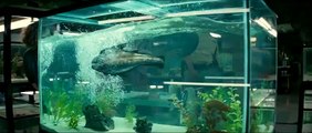 Piranha 3D Bande-annonce VF