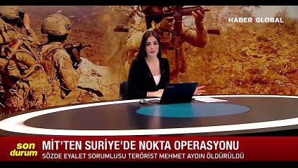 MİT, sözde eyalet sorumlusunu etkisiz hale getirdi