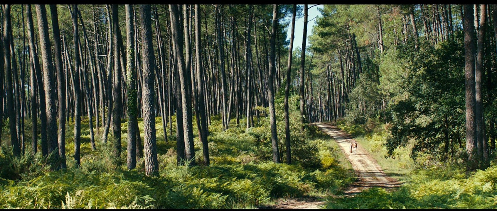 Thérèse Desqueyroux Bande-annonce VF