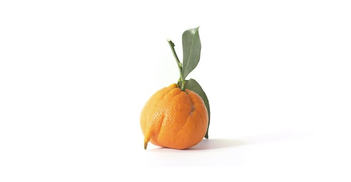 Les Fruits et Légumes Moches : découvrez la drôle de publicité Intermarché