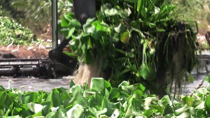 NO INCREASE IN BUS FARES  AT THIS TIME