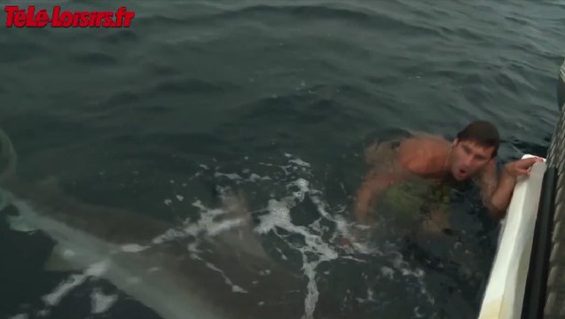 Un nageur attaqué par un requin, des filles dansent du Twerk... Le Zapping du Web