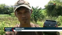 Nyasar Hingga ke Pinggir Sungai Pemali Brebes, Pemudik Ngaku Seresa Menyetir di Jalan Tol