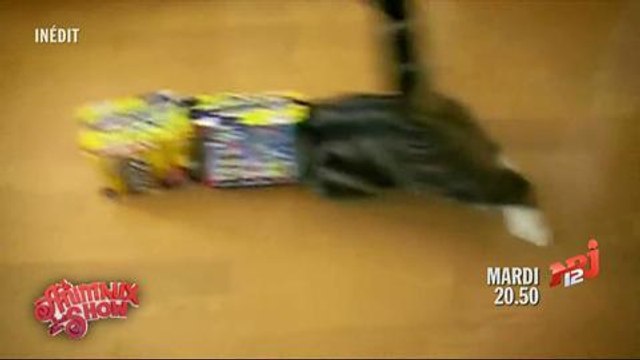 Les animaux font leur show (NRJ 12) 29 avril 2014