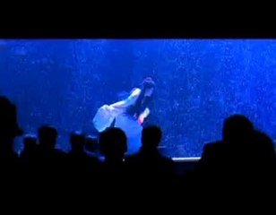 Mémoires d'une geisha