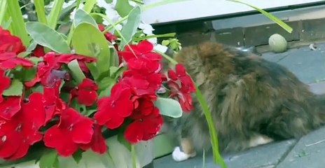 Hoarder SOS S01 E14