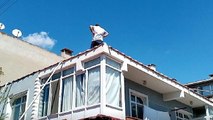 Anten ayarlamaya diye çıktığı çatıdan başka çatıya düştü