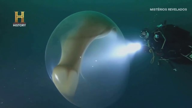 MISTÉRIOS REVELADOS - CRIATURA VOADORA - OVNIS - ATRAVESSANDO O ESPELHO