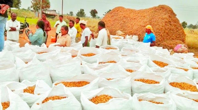 Telangana: CM KCR decision On Paddy Procurement | Pragathi Bhavan | Oneindia Telugu