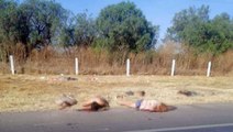 Meksika'da kanlı hesaplaşma! Yol kenarında infaz edilmiş 6 ceset bulundu