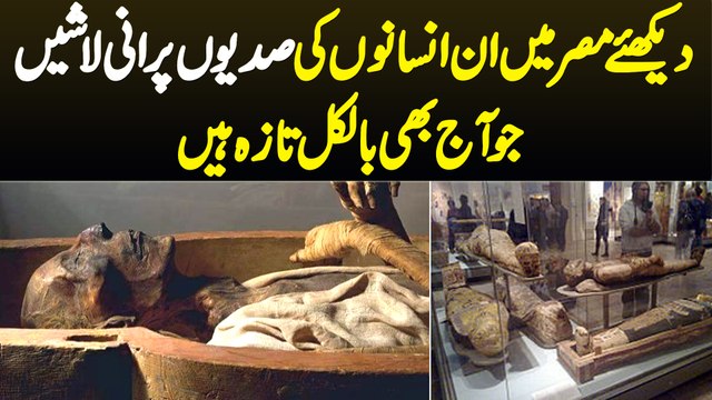 Egypt Me Insanon Ki Sadiyon Purani Mummies Jo Aaj Bhi Bilkul Taza Hain - The Royal Tombs Of Tanis