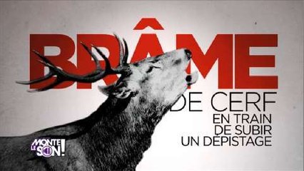 Monte le son : Un chroniqueur descend Asaf Avidan (et Nicola Sirkis)