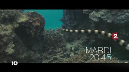 Océans (France 2) Bande-annonce 25 septembre