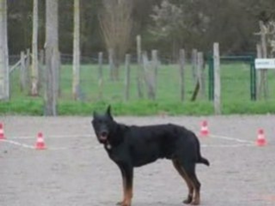 Uston video