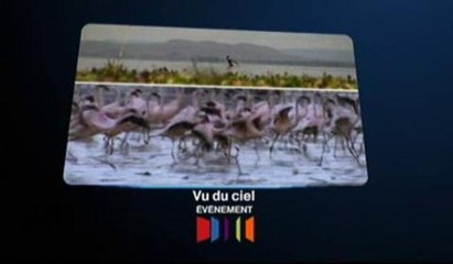 Vu du ciel (France 3) : bande-annonce