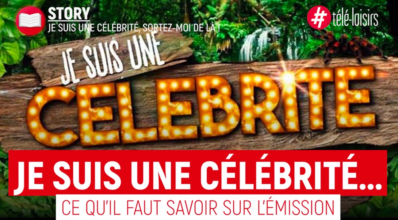 Je suis une célébrité, sortez-moi de là ! 2019 : toutes les infos sur l'émission