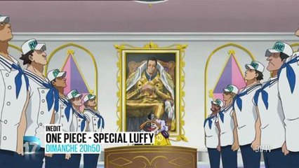 One Piece Spécial Luffy