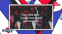 The Voice 2021 : date de diffusion, coachs… ce qu'il faut savoir sur l'émission