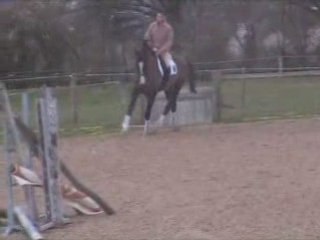 OSIRIS DRESSAGE1