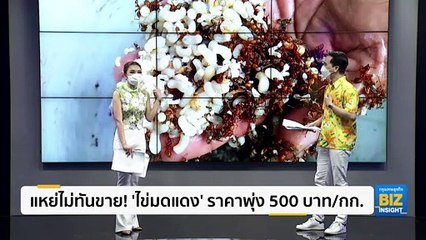 แหย่ไม่ทันขาย! ‘ไข่มดแดง’ ราคาพุ่ง 500 บาท/กก.