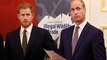 Prince Harry and William's feud ‘very bad’ Duke 'like Bridget Jones with perfect couple'