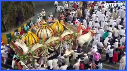 Pandharpur Waari | यंदा पायी वारी करता येणार असल्यानं वारकऱ्यांमध्ये मोठा उत्साह  | Sakal Media