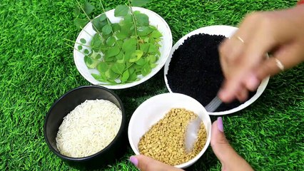 गर्मी में तेल नहीं ये लगाओ 2 दिन में बालों का झड़ना बंद काले घने,शीशे से चमकेंगे Hair Growth Serum