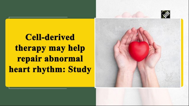 Cell-derived therapy may help repair abnormal heart rhythm: Study
