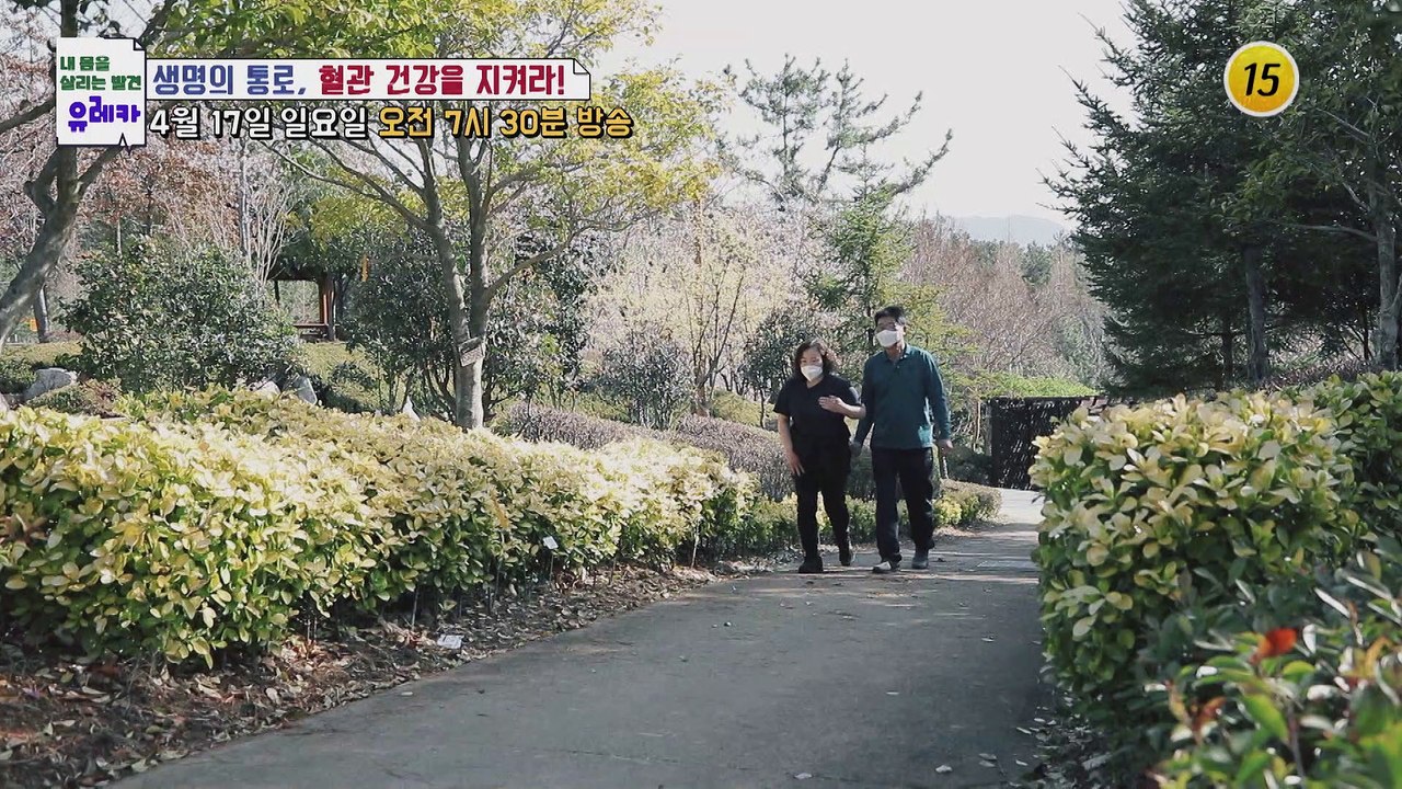 생명의 통로, 혈관 건강을 지켜라!_내 몸을 살리는 유레카 61회 예고 TV CHOS...
