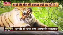 Madhya Pradesh News : Madhya Pradesh में लगातार बाघों के मौत ने बढ़ाई चिंता | Tigers death |