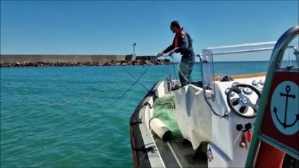 Catania, sequestrati oltre 600 chili di pesce illegale