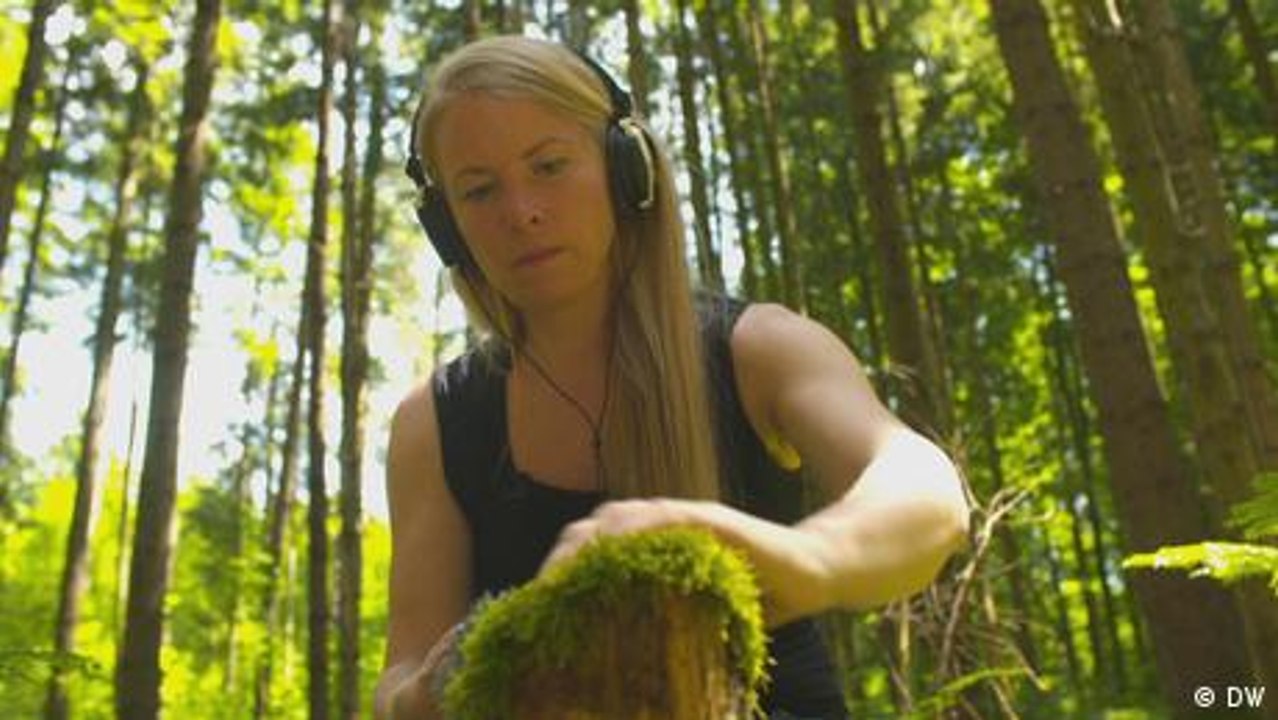 Die musikalische Seite der Natur
