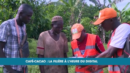 Télécharger la video: Cartes de producteurs : la filière café cacao à l’heure du digital (Eco plus)