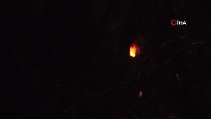 Ataşehir'de yaşanan 'koli bantlı dehşet'te gerçek ortaya çıktı