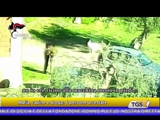 Il notiziario di Tgs edizione del 13 aprile - ore 13.50
