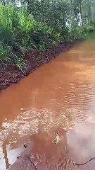 “Tragam um barco aqui na Estrada Jurema”, apela o morador de Pérola