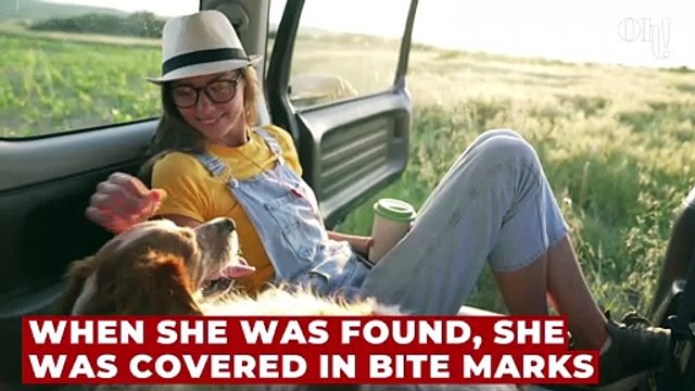 This rescued dog from hoarders who was covered in bite marks is now searching for a new home