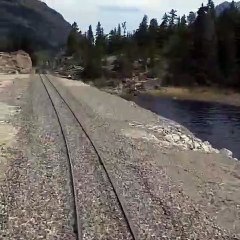 Train Slows For Caribou Racing Along Tracks