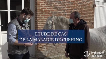 Étude de cas de la maladie de Cushing