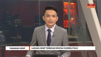 Tanaman Hemp | Ladang hemp terbesar di Eropah diserbu polis