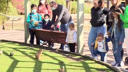 Diversión y aprendizaje en el mundo animal para esta Semana Santa