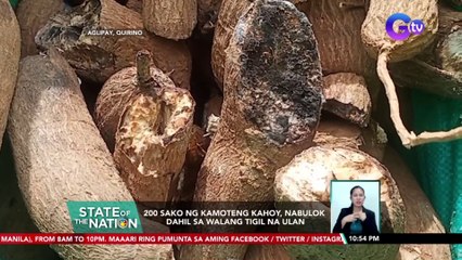 200 sako ng kamoteng kahoy, nabulok dahil sa walang tigil na ulan | SONA