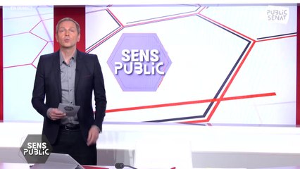 Marine Le Pen peut-elle gagner ? / Macron-Le Pen : quelle Europe ? - Sens public (13/04/2022)