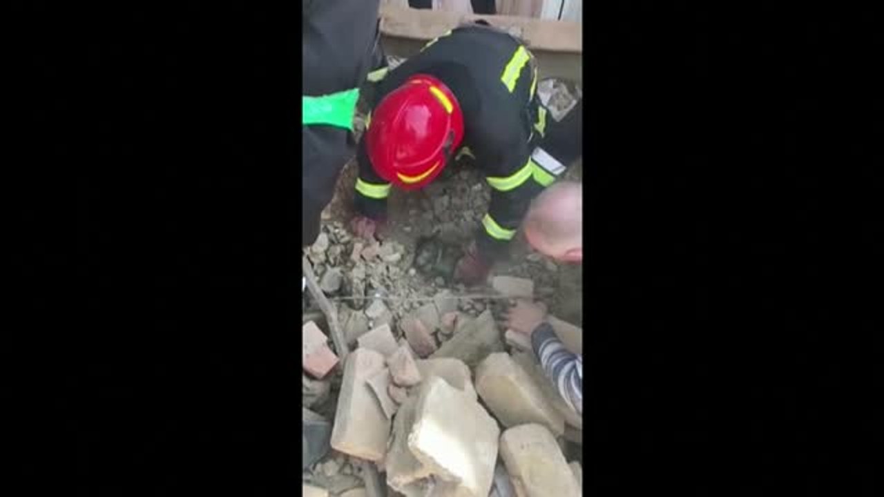Rescatan un cachorro bajo los escombros de una vivienda en Ucrania