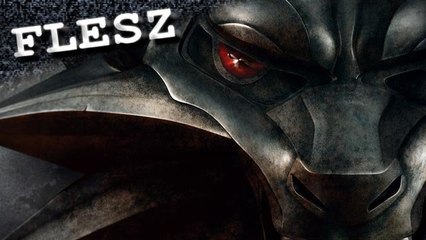 FLESZ - 28 maja
