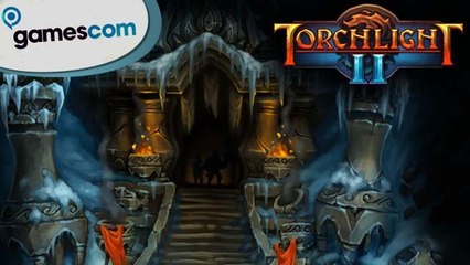 Gramy w Torchlight II