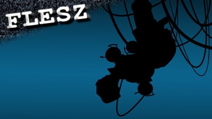 FLESZ - 27 grudnia 2010