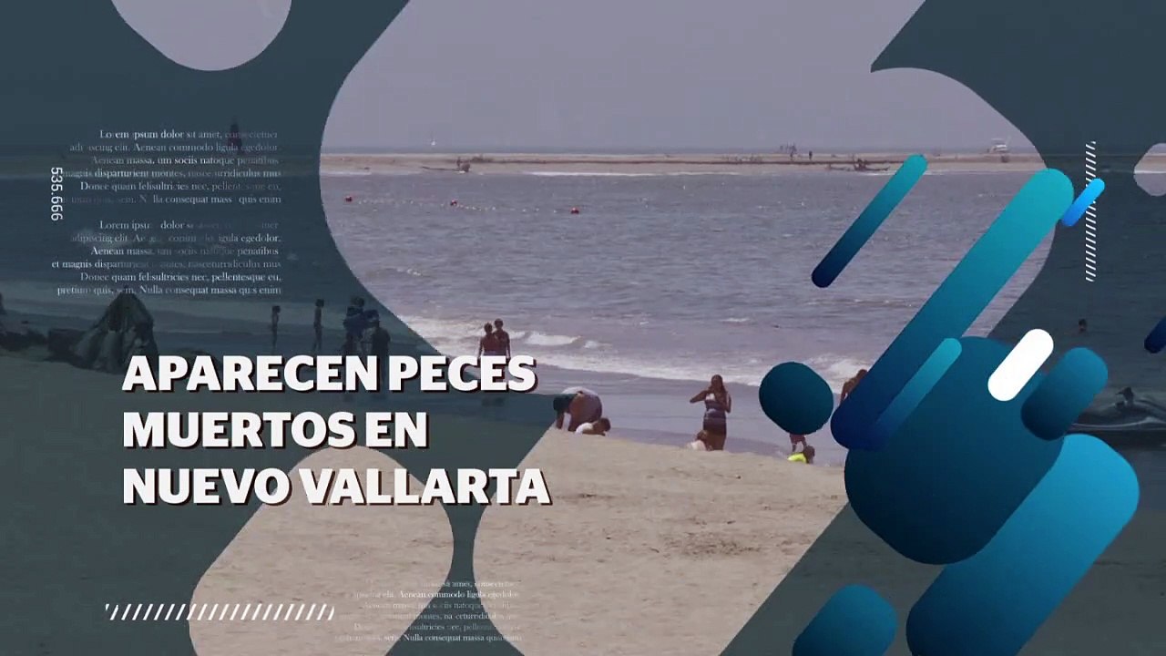 Aparecen peces muertos en Nuevo Vallarta | CPS...