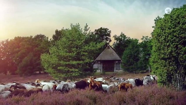 Rote Rosen Folge 3541